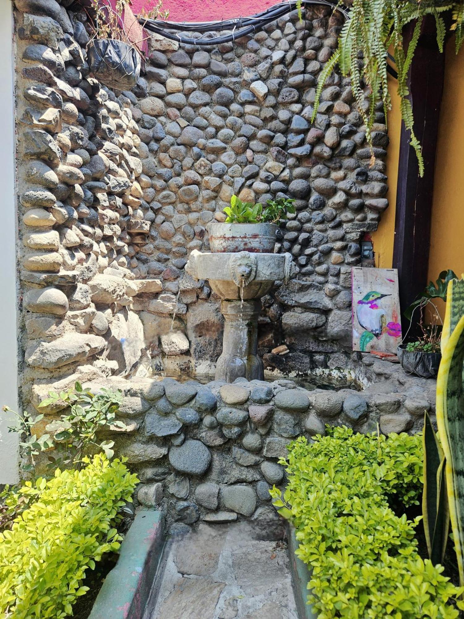 Casa Nikte Hotel Antigua Dış mekan fotoğraf